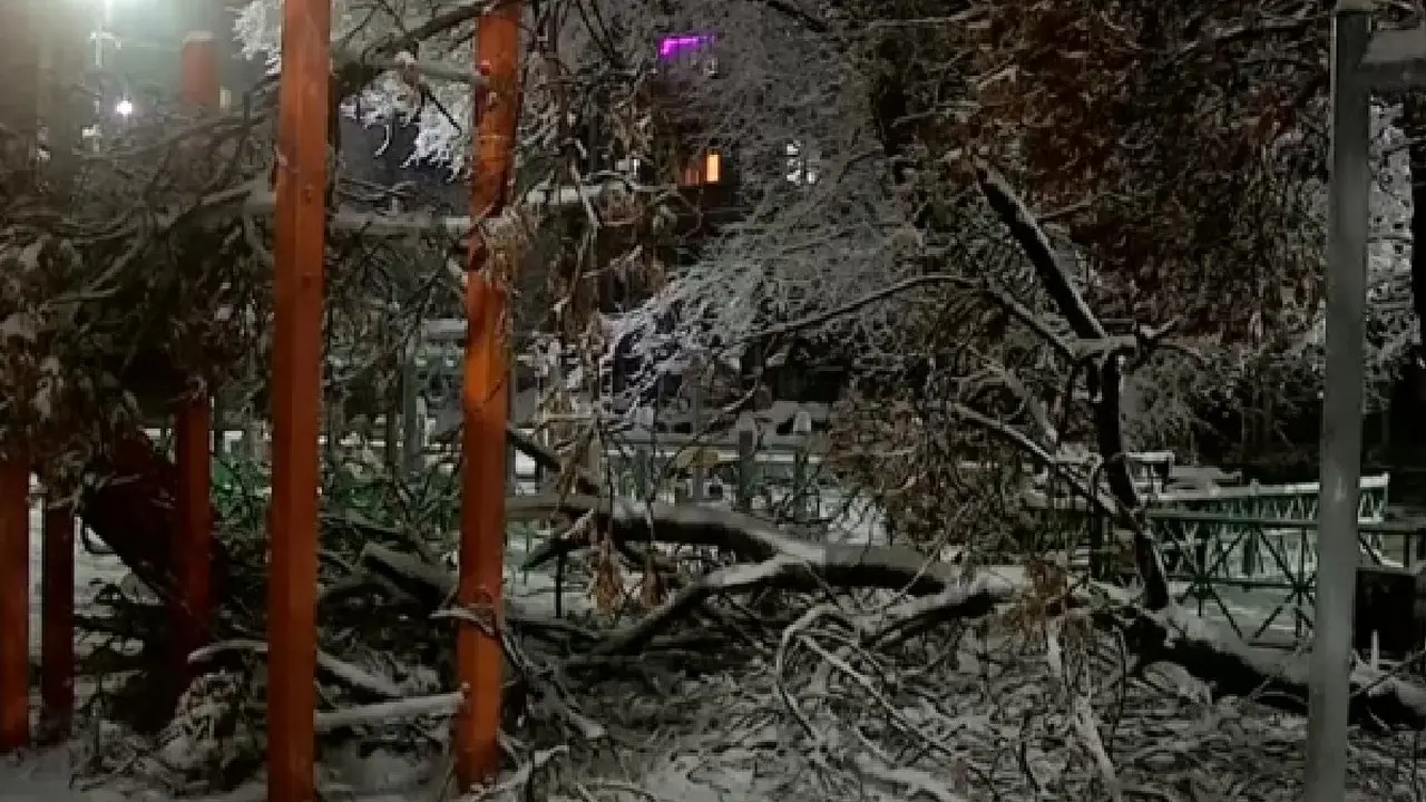 Кадр из видео Otyrar.kz