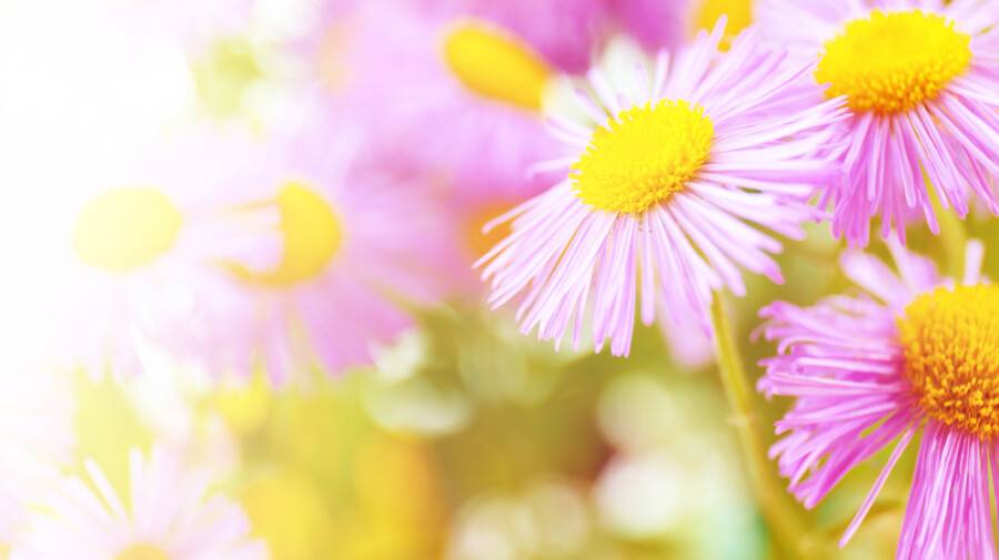 Прогноз погоды на 1 сентября: сильная жара ожидается на большей части Казахстана