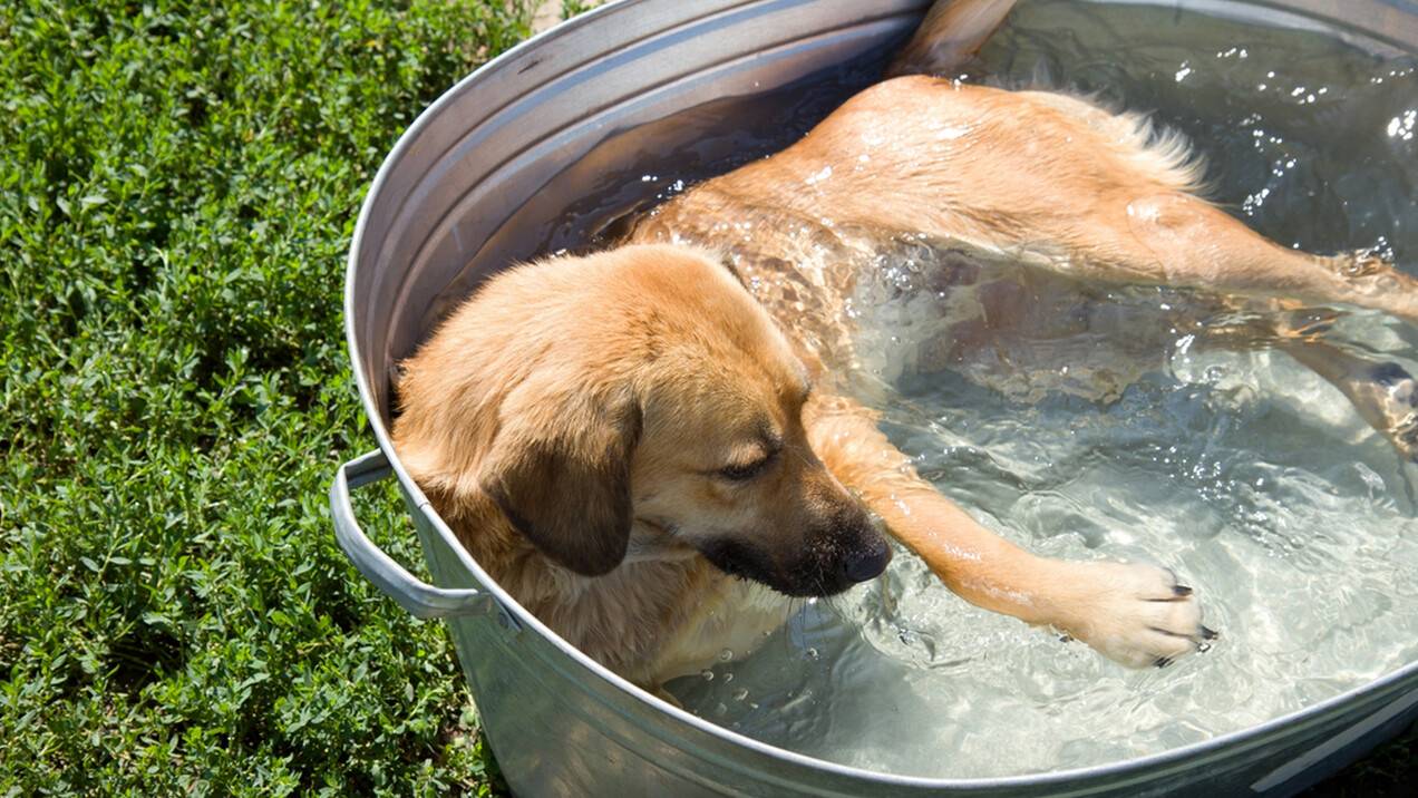 Прогноз погоды на 1 августа: сильная жара будет почти на всей территории Казахстана