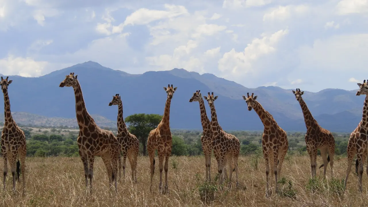 Фото Майкла Брауна с сайта iucn.org