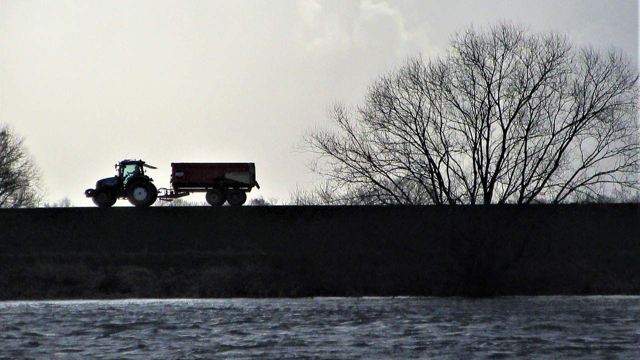 Фото Pixabay.com