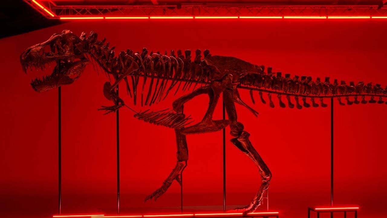 Скелет самого известного динозавра Tyrannosaurus Rex продали с аукциона |  informburo.kz