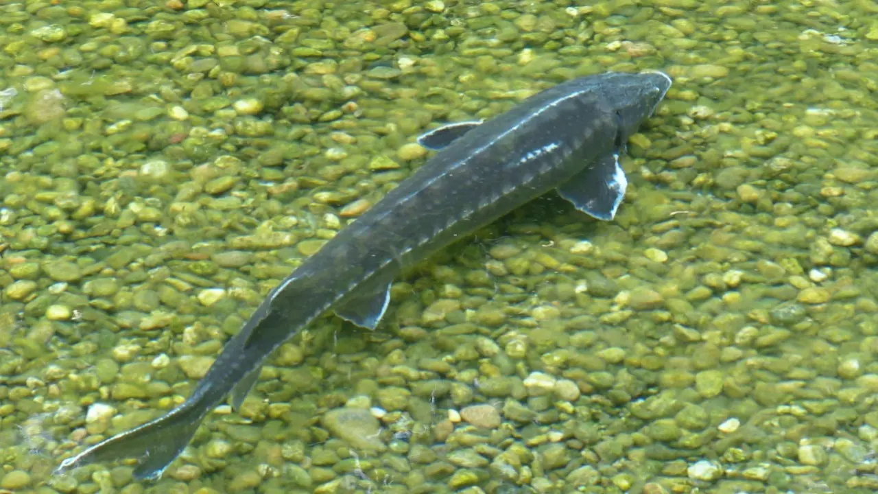 Фото Pixabay.com