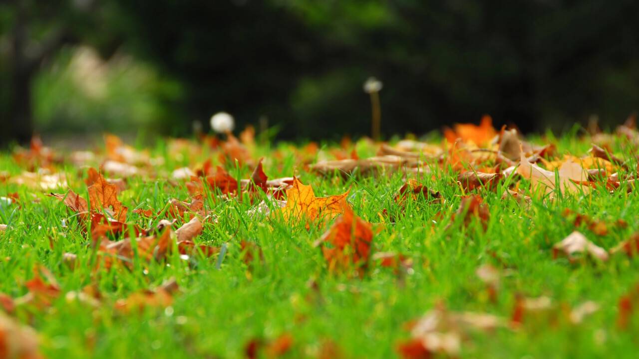 Прогноз погоды на 2 октября: резкое понижение дневной температуры и ветер ожидаются на севере страны