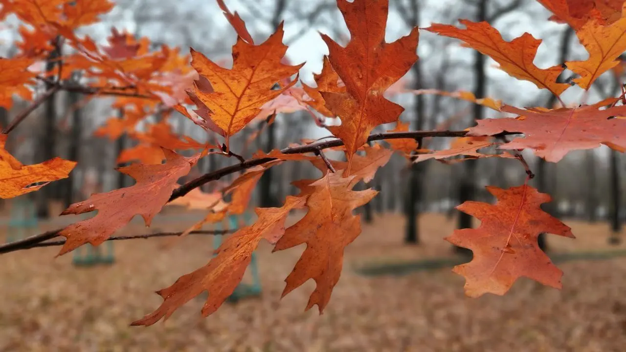 Фото Informburo.kz