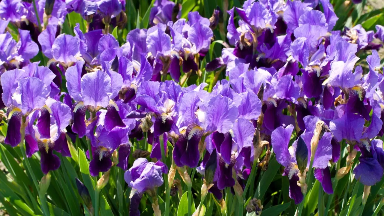 Фото Depositphotos.com