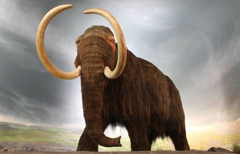 Фото с сайта contenton.ru.