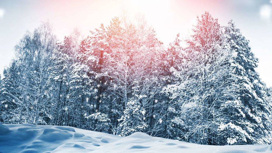 Фото с сайта shutterstock.com