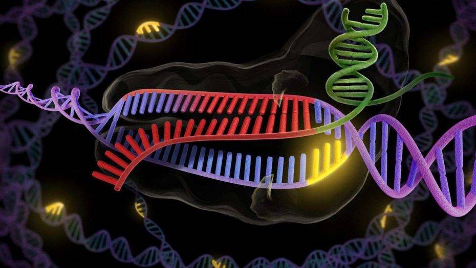 Фото с портала Medium