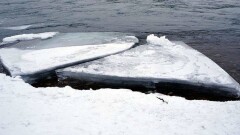 В Актобе троих детей унесло на льдине на середину водохранилища