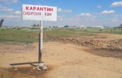 Рядом с сёлами-очагами сибирской язвы располагаются скотомогильники