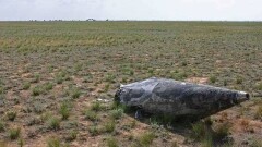 В ЗКО во время испытаний на российском полигоне сельчане косят сено и пасут скот