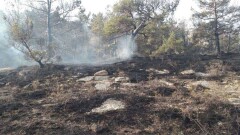 Пожар в Баянаульском национальном парке потушили спустя почти двое суток