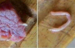 Экспертиза дала заключение по мясу, в котором алматинка нашла "червяка"