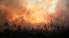 В России почти в 50 регионах ввели особый противопожарный режим