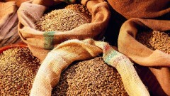 Вьетнам готов перейти к импорту пшеницы из Казахстана вместо России