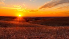 Чрезвычайную пожарную опасность прогнозируют в шести регионах Казахстана