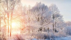 Осадки на севере, морозы на юге прогнозируют синоптики на 23 декабря