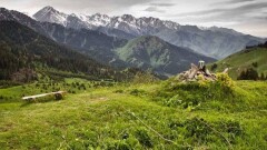 Активисты "Сохраним Кокжайлау" обратились к президенту Токаеву