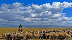 Два млрд человек в мире трудятся без отпусков и больничных