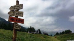 Нацпарк отдаёт земельные участки с краснокнижными растениями для строительства курорта "Кокжайлау"