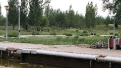Кульгинов попросил жителей Нур-Султана помочь навести чистоту в бесхозных парках 
