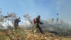 В Алматы потушили второй за день пожар на Кок-Тобе. Аким заверил – город в безопасности