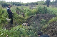 Они штурмовали «Линию пантеры»