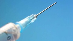 Биртанов пообещал разобраться в гибели женщины после укуса комара 
