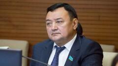 Экс-депутат Полевой скандальное видео с Тиникеевым назвал "семейным разговором" 