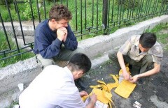 Борьба с наркопреступностью: победы и поражения
