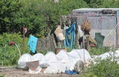 В Усть-Каменогорске дачница накрыла грядки государственным флагом РК