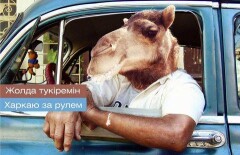 Ролик о любви к природе признан лучшей социальной рекламой в Казахстане