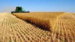 ФАО прогнозирует снижение запасов зерновых при росте потребления 
