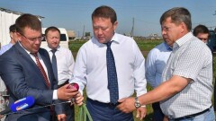 Аким СКО поручил повысить зарплаты сельчан на 20 процентов