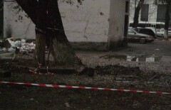 Мы не разводим грязь во дворах - коммунальщики Алматы