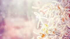 Прогноз погоды на 2 ноября: метель ожидается на севере страны