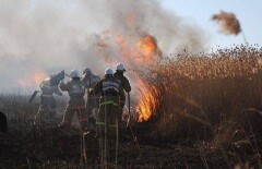 Три часа отбивали пожарные от огня микрорайон Петропавловска