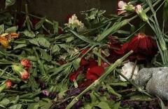 Цветы, свечи и портреты Батырхана Шукенова выкинули в мусорный контейнер в Алматы