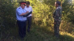 Астанчанин выкопал берёзки в "зелёном поясе", чтобы посадить их возле своего дома