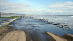 Спасатели нашли тела трёх утонувших в талых водах Карагандинской области