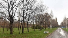 Реконструкция парка "Южный" в Алматы: акимат просит назад сэкономленные 350 млн тенге