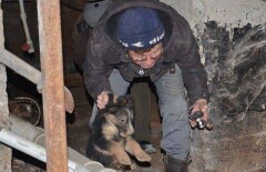В Актау щенят на два месяца замуровали в подвале жилого дома