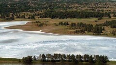 В Коргалжынском заповеднике запретили ловить рыбу, чтобы не беспокоить сайгаков