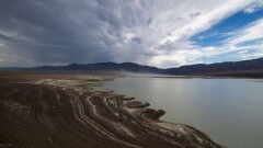 Бартогай может повторить судьбу Арала? Фоторепортаж с высыхающего водохранилища