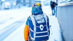 В Костанае и Семее из-за непогоды отменили занятия для школьников