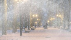 Прогноз погоды на 9 декабря: сильный снег и метель ожидаются на севере и востоке Казахстана