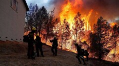 Масштабную эвакуацию из-за лесных пожаров начали в Калифорнии 