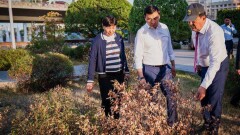 Кульгинов: В новом парке "Жетысу" уже засохли деревья, не работает система полива