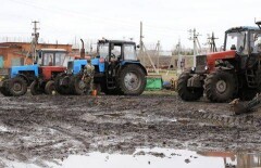 Западноказахстанские хлеборобы рискуют остаться без урожая